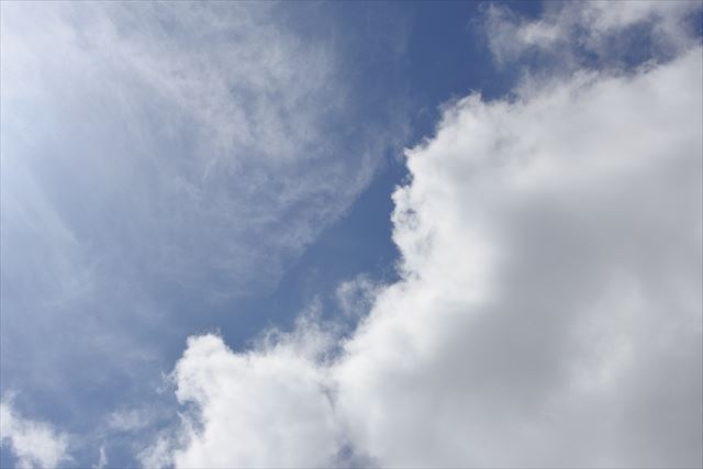 今日はお天気いいですよ