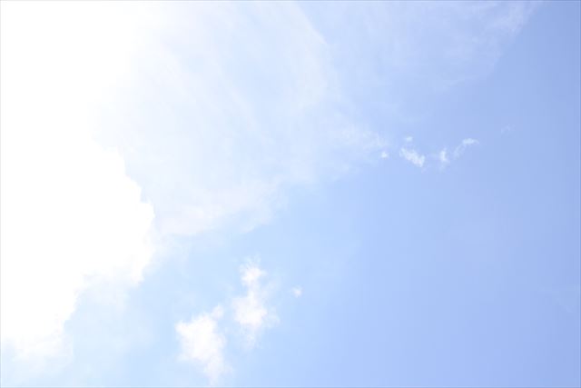 お天気予報通りの晴れです。
