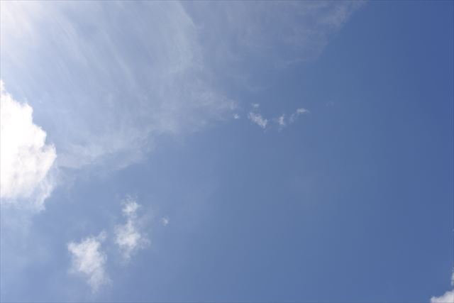 今日のお天気は晴れです