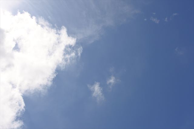 庭に仰向けになって空を眺めました