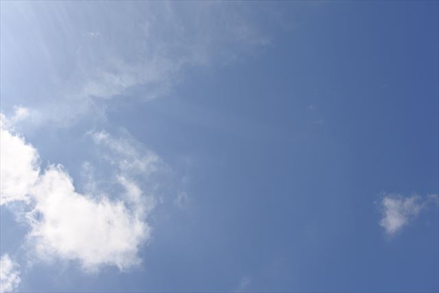 真っ青な空に見とれてしまいました