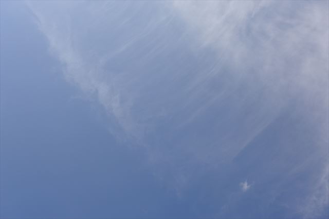 雲の形があばら骨みたい？！