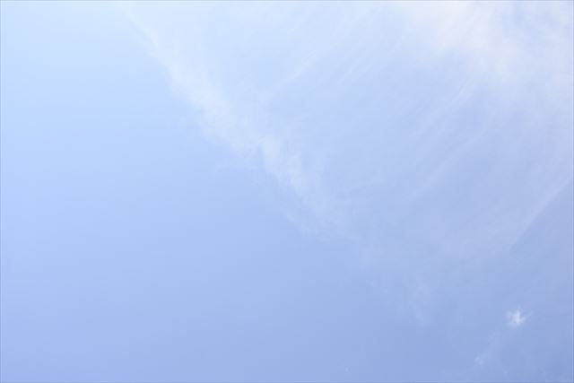 陽ざしが強いです。よく晴れ渡っています