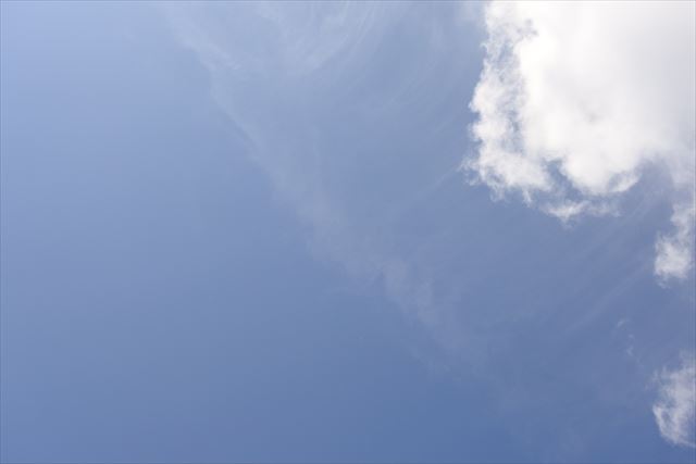 いいお天気になりました。晴れています