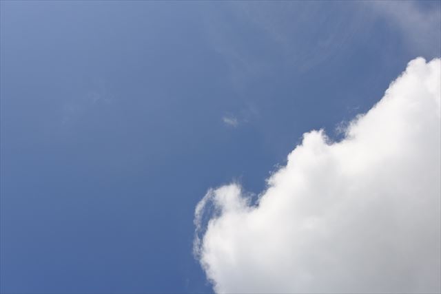 快晴です。どこかへ出かけたくなります