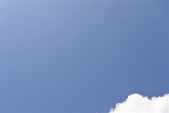 今日の天気は晴れです。