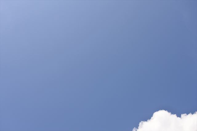 夏空。良く晴れています