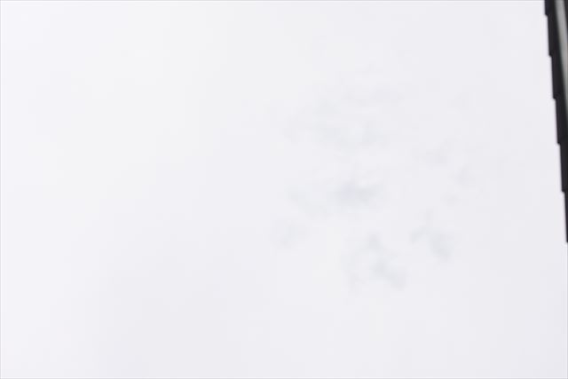 曇りです。空が白い