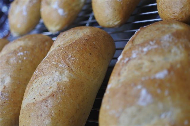 焼き立てのパンが並んでいる