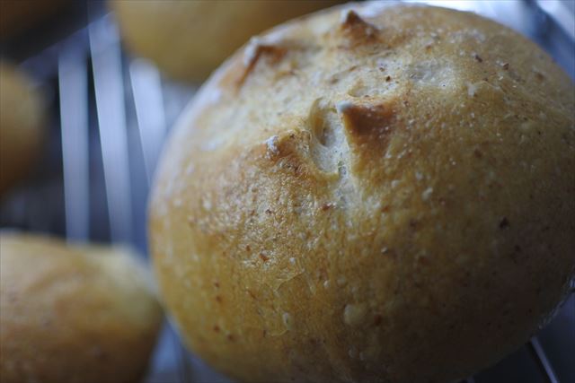 美味しそうなパン