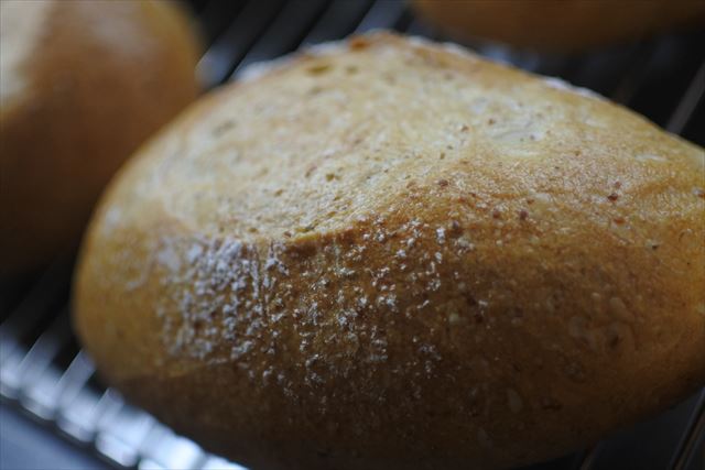 焼きあがったパン