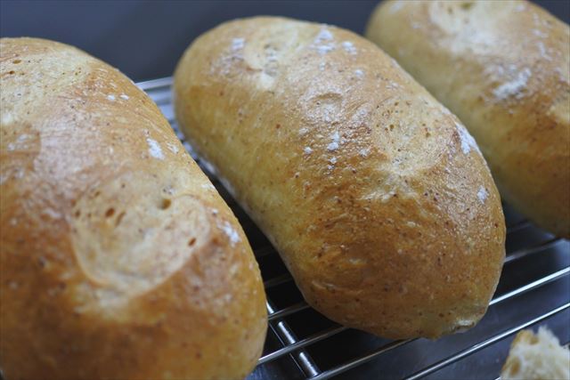 丸いパンが並んでいます