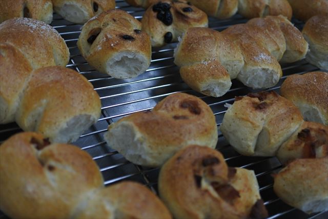 いろいろなパンが並んでいます