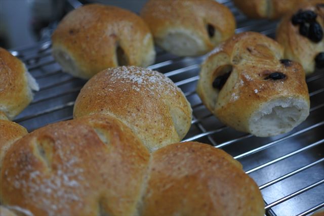 亀さんみたいなパン