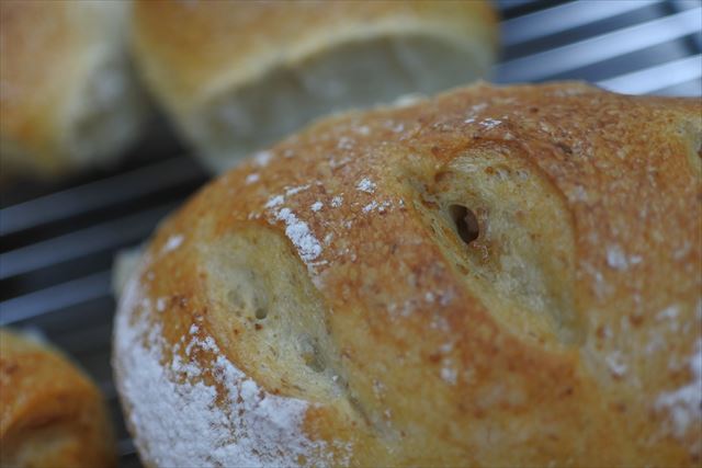 ライムギブレッド