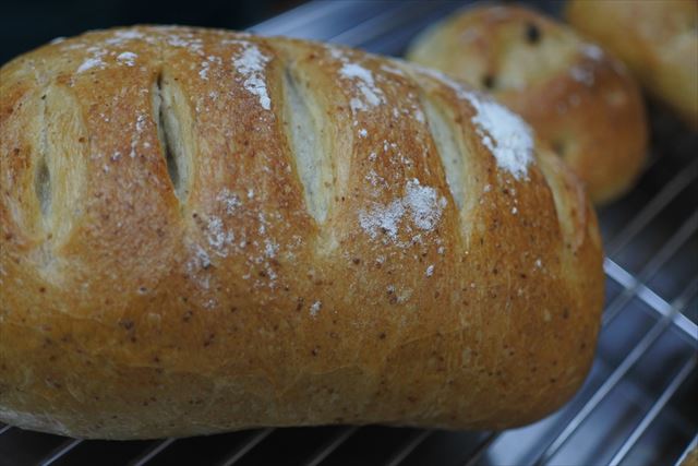 美味しそうなパン